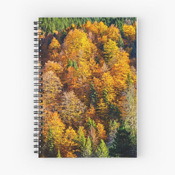 Item preview, Explosion of autumnal colors in Aspropotamos designed and sold by Hercules Milas.