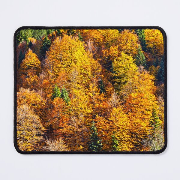Item preview, Explosion of autumnal colors in Aspropotamos designed and sold by Hercules Milas.
