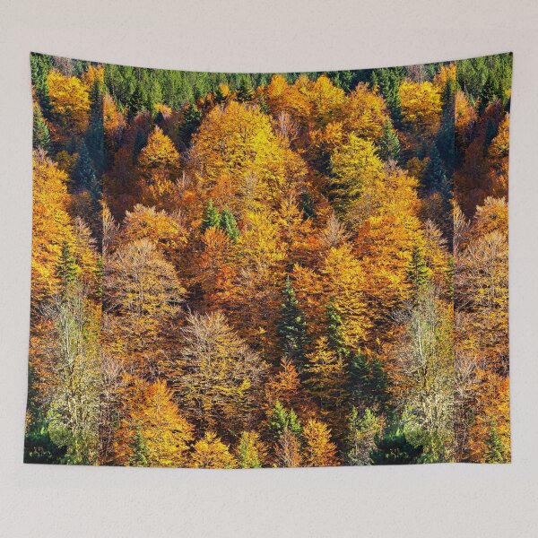 Item preview, Explosion of autumnal colors in Aspropotamos designed and sold by Hercules Milas.