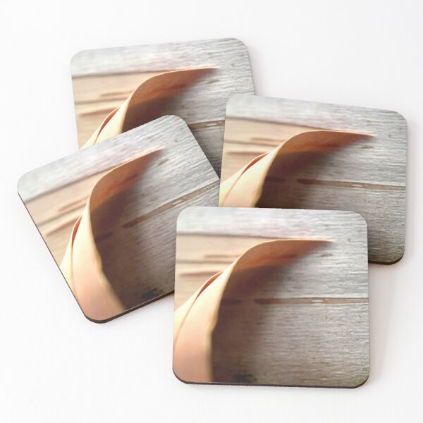 Item preview, Birch  designed and sold by Jason Tompkins.