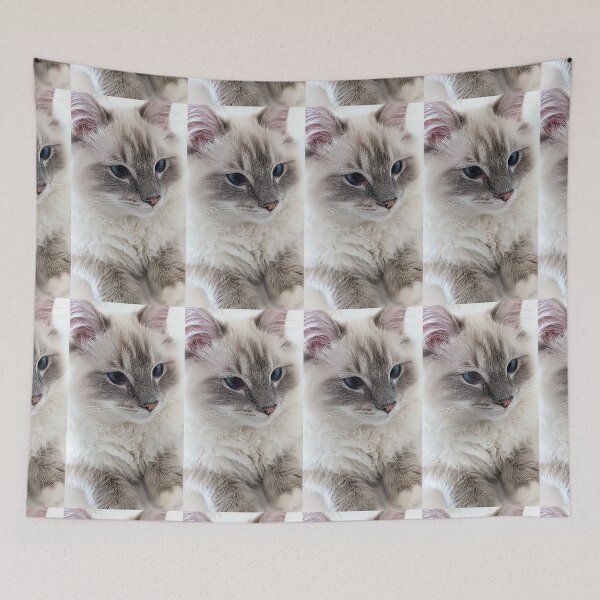 Item preview, Lynx ragdoll kitten designed and sold by Fluffycat2020.