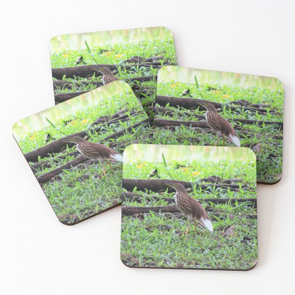Item preview, Chinese Pond Heron designed and sold by morrisophotography.