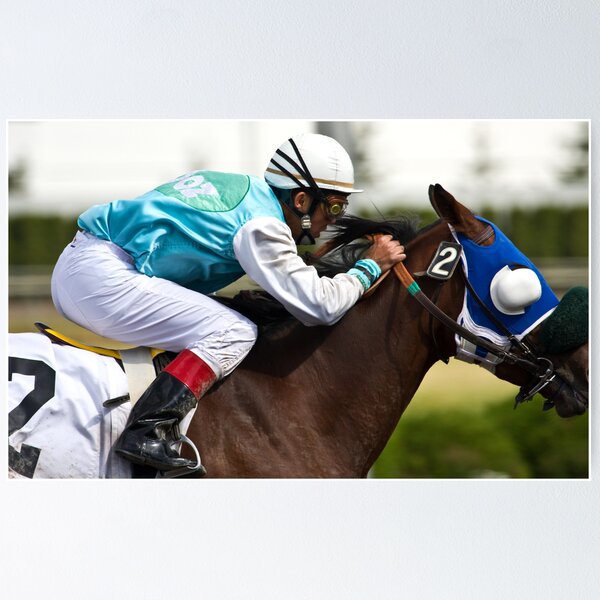 Item preview, Horse and Jockey 1 designed and sold by David Chappell.