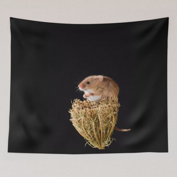 Item preview, Harvest Mouse Snacking designed and sold by InterestingImag.