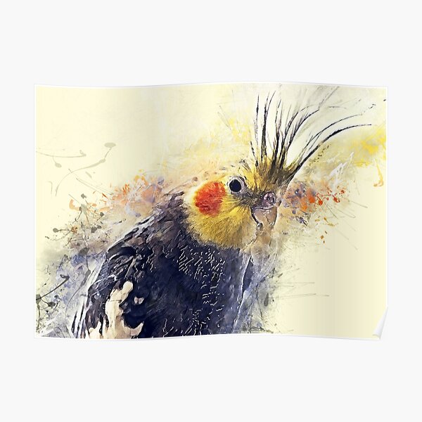Cockatiel Poster