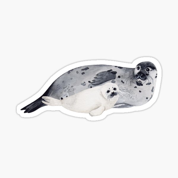 Item preview, HARP SEAL SIBLINGS-Pagophilus groenlandicus designed and sold by BEATRIZ ABAITUA.
