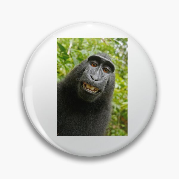 Item preview, Funny Monkey Anmal designed and sold by Elidrissi7.