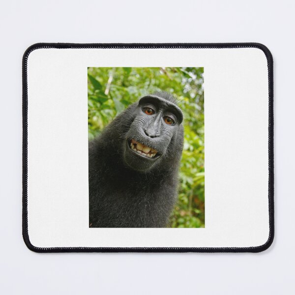 Item preview, Funny Monkey Anmal designed and sold by Elidrissi7.