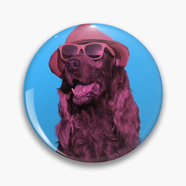 Aperçu de l'œuvre Chien cool avec des lunettes et un chapeau créée et vendue par Gamicnum.