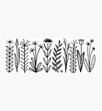Blumenmuster scharz/weiß / flower pattern Photographic Print
