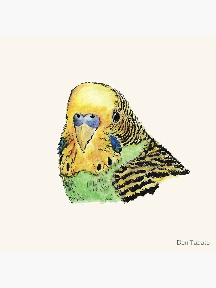 Prettyboy the Green Parakeet by dmtab