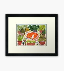Katze im Gewächshaus Framed Print