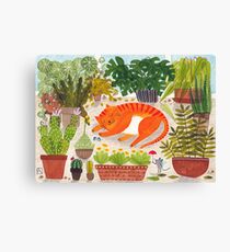 Katze im Gewächshaus Canvas Print