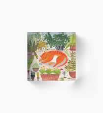 Katze im Gewächshaus Acrylic Block