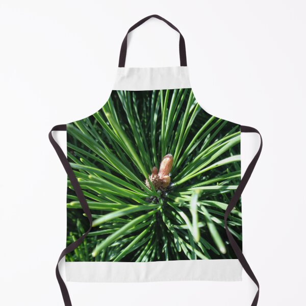 Item preview, Mountain pine called also dwarf mountain pine or rocky mountain pine or just pine tree designed and sold by Kubala.