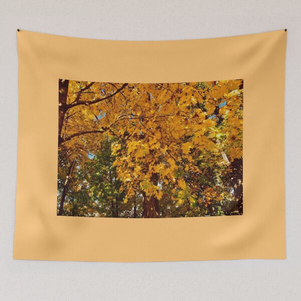 Item preview, Orange Maples designed and sold by Shulie1.