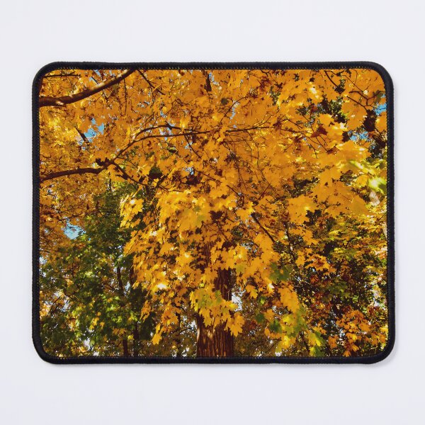 Item preview, Orange Maples designed and sold by Shulie1.