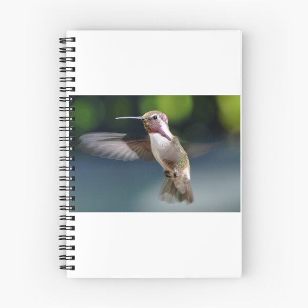 Item preview, MALE WHITE EARED HUMMINGBIRD designed and sold by JAYMILO.
