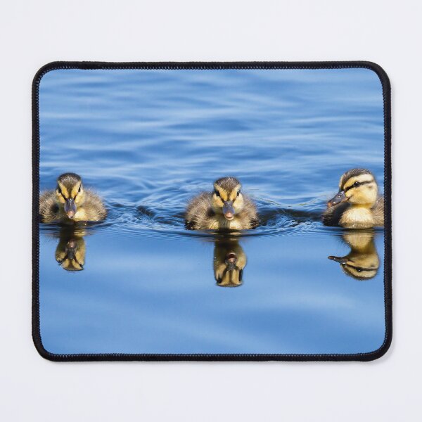 Item preview, 3 wee ducks designed and sold by Northern Pix.