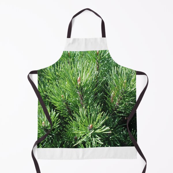 Item preview, Mountain pine called also dwarf mountain pine or rocky mountain pine or just pine tree designed and sold by Kubala.