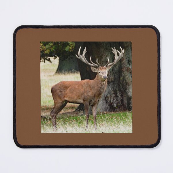 Item preview, A Wonderful Red Stag designed and sold by Karen Thomson.