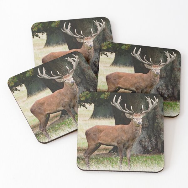 Item preview, A Wonderful Red Stag designed and sold by Karen Thomson.