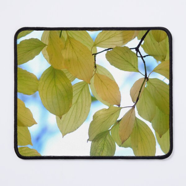 Item preview, Colorful autumn leaves on nature background designed and sold by olena2552.