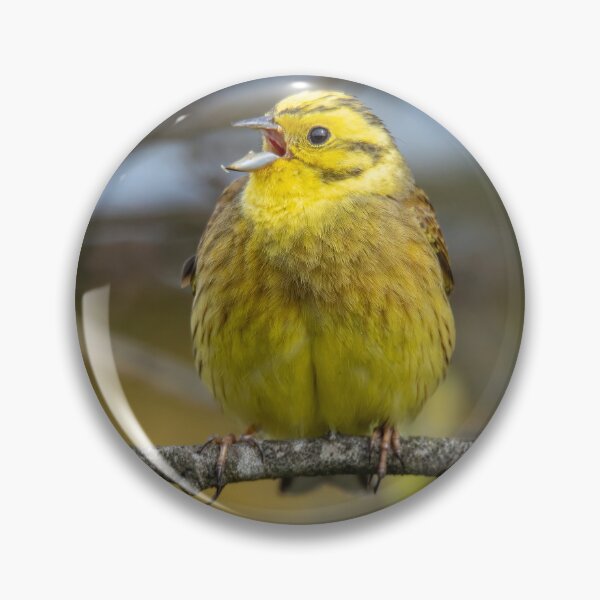Item preview, Yellowhammer designed and sold by Northern Pix.