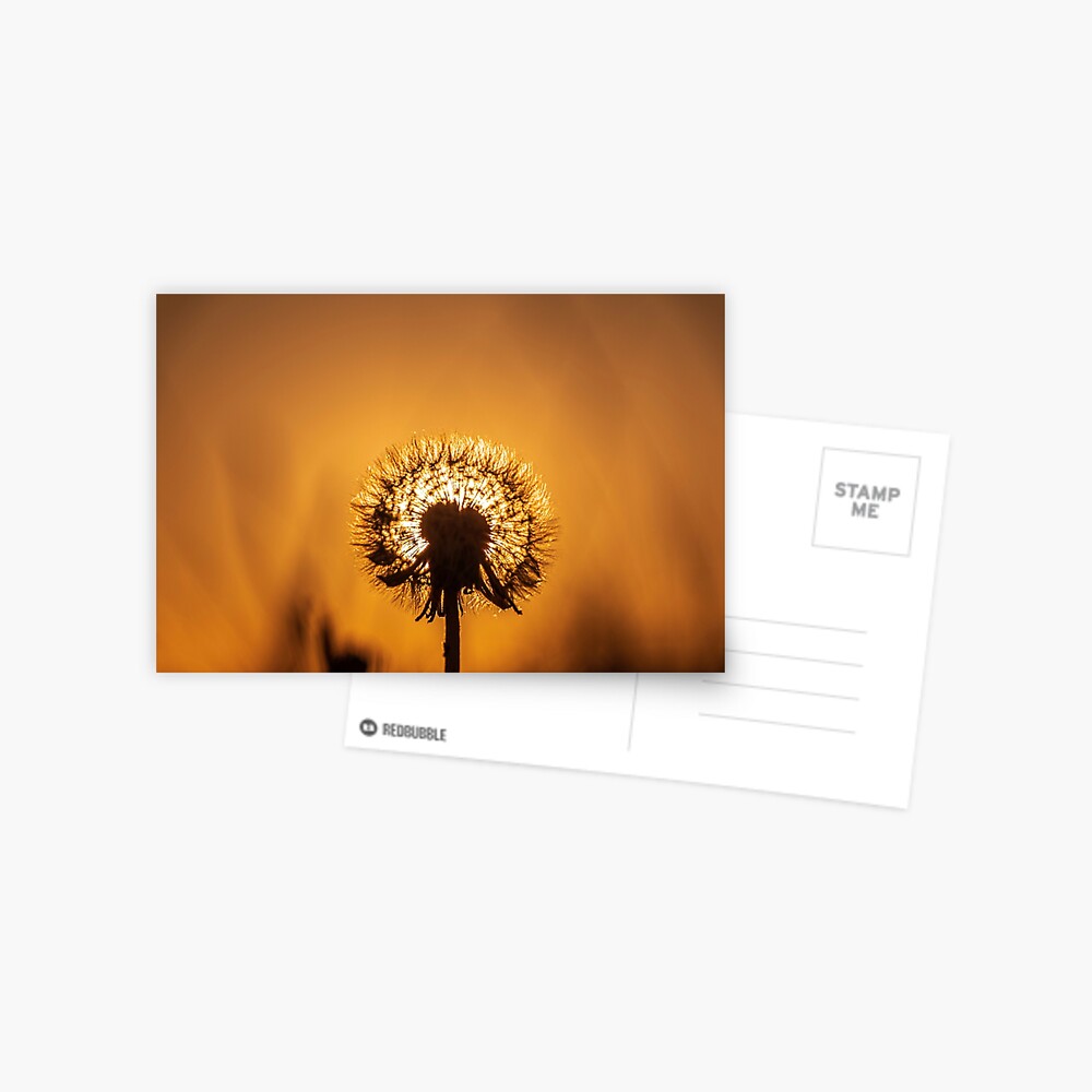 Item preview, Postcard designed and sold by stevehuggett.