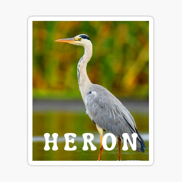 Heron Preston Stickers for Sale | Redbubble