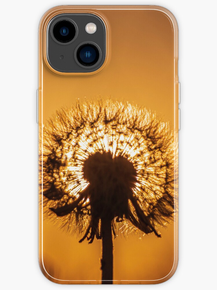 Thumbnail 1 of 5, iPhone Case, Sunset Through a Dandelion Clock - Taken Pembrey Wales UK -Photographic Print  designed and sold by stevehuggett.