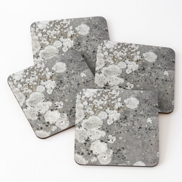 Item preview, White lichen background texture designed and sold by pinkal.