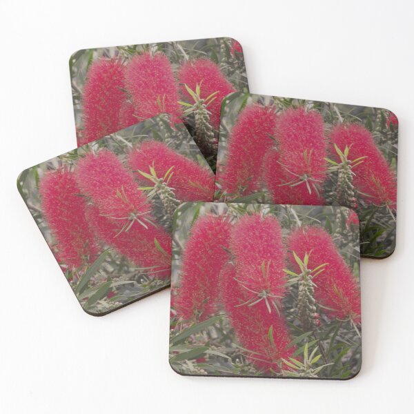 Item preview, Callistemon designed and sold by indiafrankk.