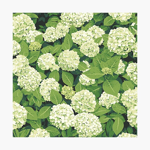 Item preview, Bloom in White designed and sold by Ross Murray.