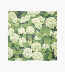 Bloom in White Scarf