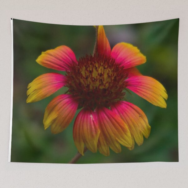 Item preview, Flower Lost and Found in a Texas Field designed and sold by byraquelesma.