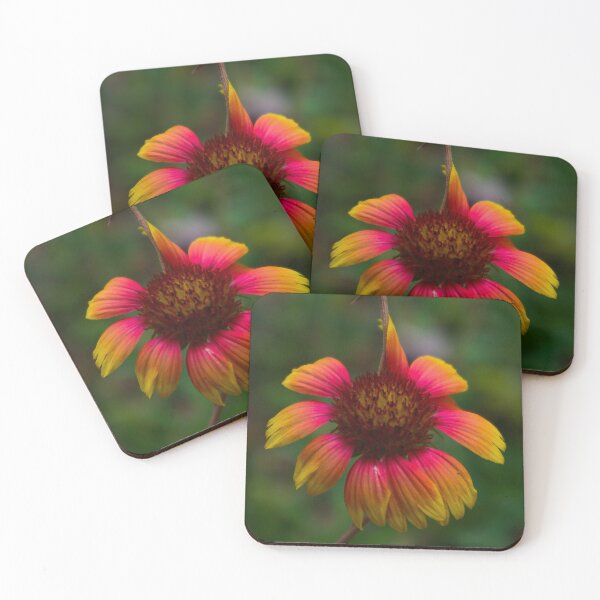 Item preview, Flower Lost and Found in a Texas Field designed and sold by byraquelesma.