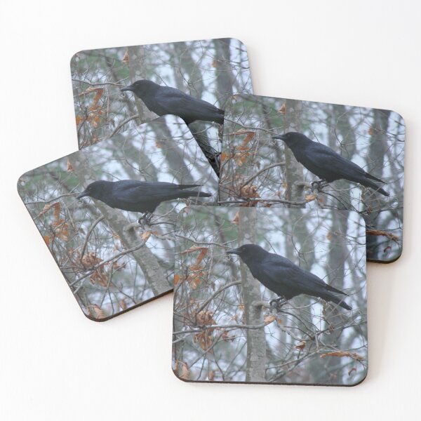 Item preview, Winter Crow designed and sold by Jean Gregory Evans.