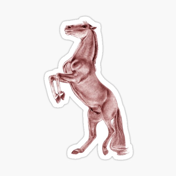 Horse hydro hot sale flask stickers