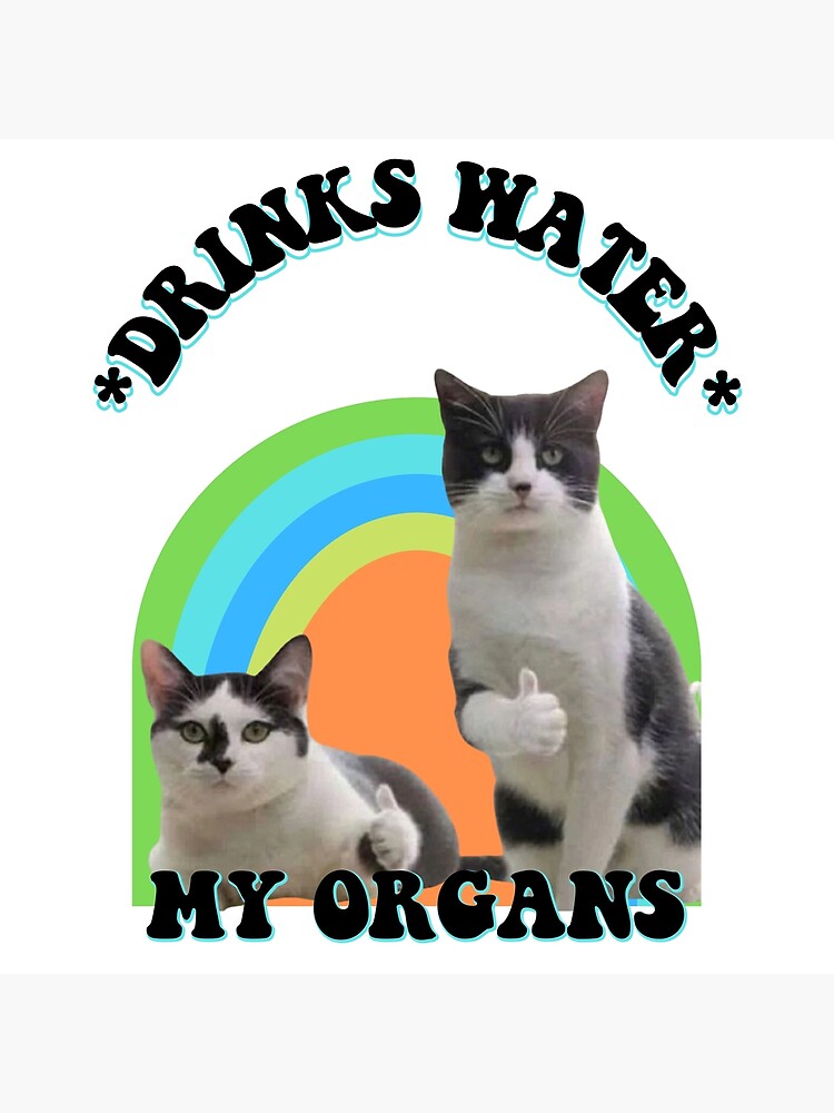 "DRINKS WATER CAT MEME My Organs THUMBS UP HYDRATION or DIEDRATION