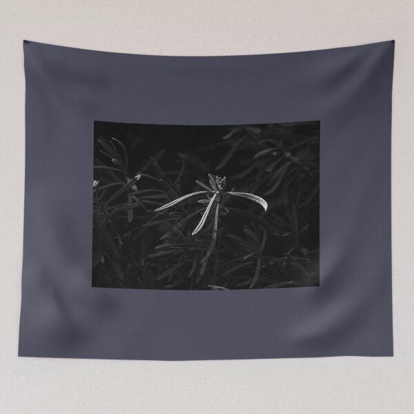 Item preview, A February moment designed and sold by Gabriele Maurus.