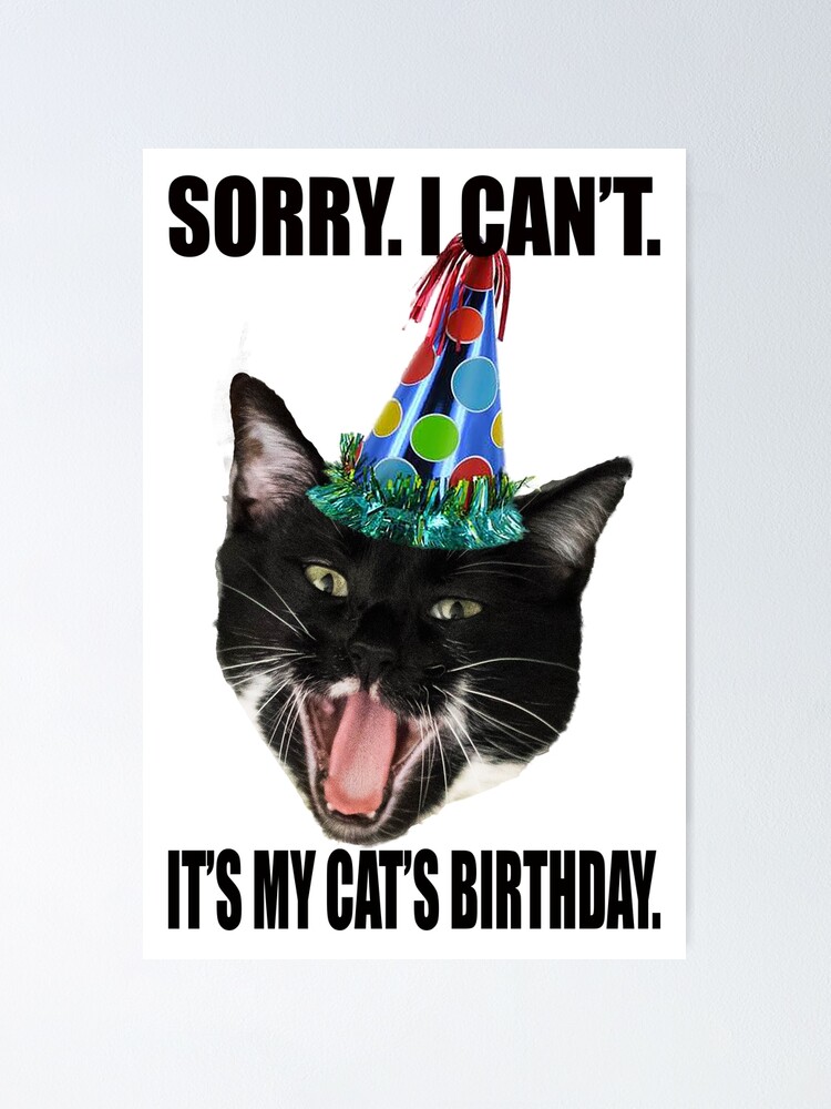 Poster Desole Je Ne Peux Pas C Est L Anniversaire De Mon Chat Par Stermitkermit Redbubble