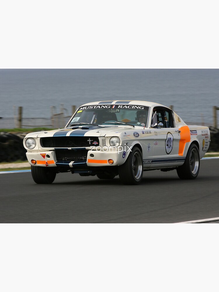 GT 350 by zoompix