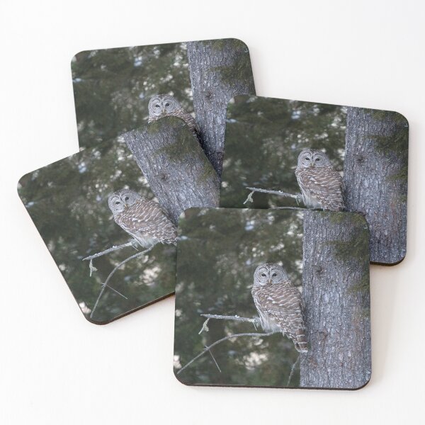 Item preview, The Guardian designed and sold by Gladys Gordon.