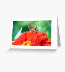 Preparing For Takeoff Greeting Card