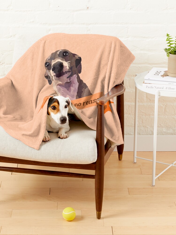 Alternate view of Kermit Pet Blanket