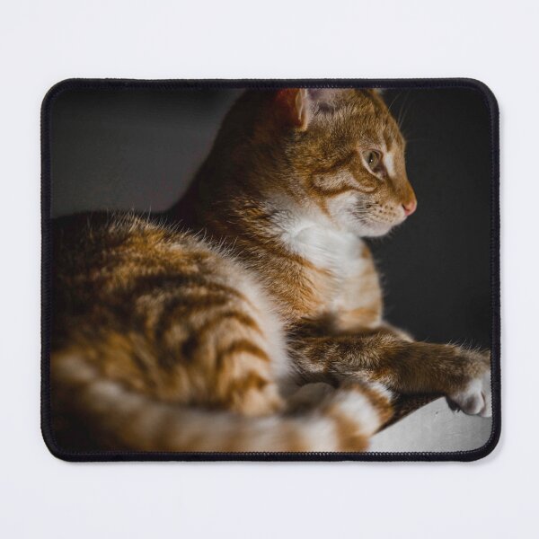 Item preview, Weasley the ginger tabby designed and sold by Sampson-et-al.