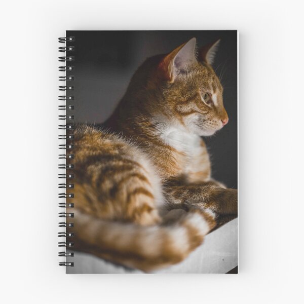 Item preview, Weasley the ginger tabby designed and sold by Sampson-et-al.