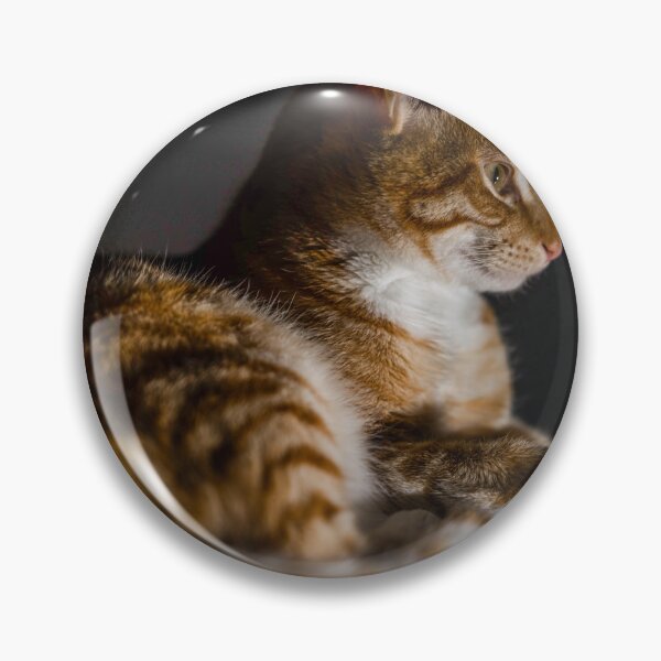 Item preview, Weasley the ginger tabby designed and sold by Sampson-et-al.