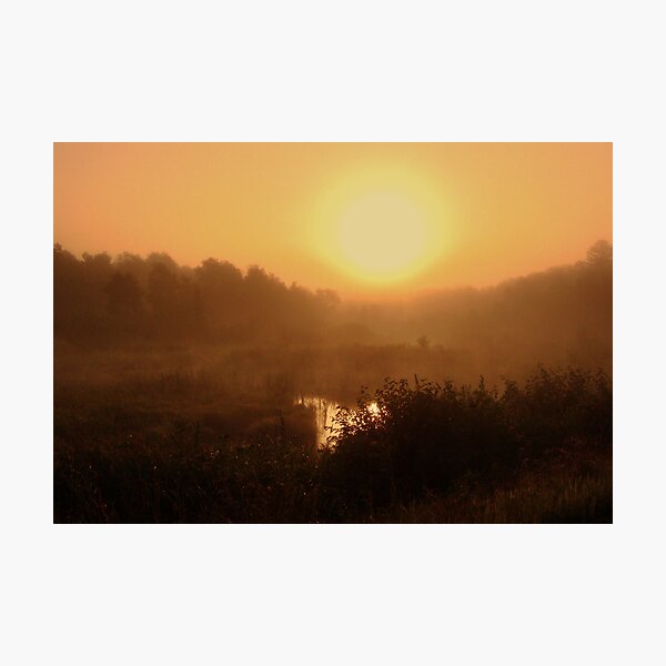 Something Good Photographic Print